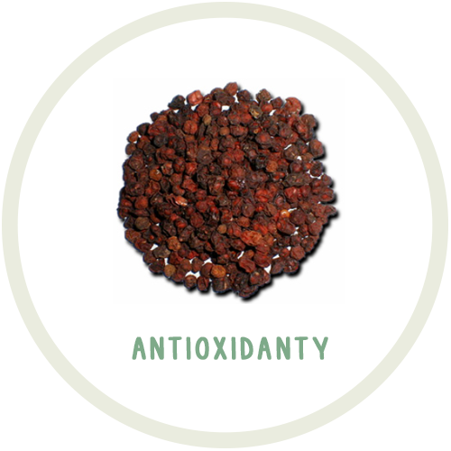 Antioxidanty