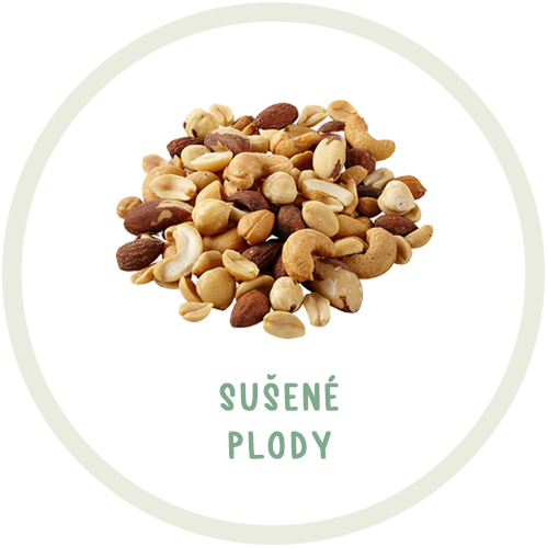 Suché plody
